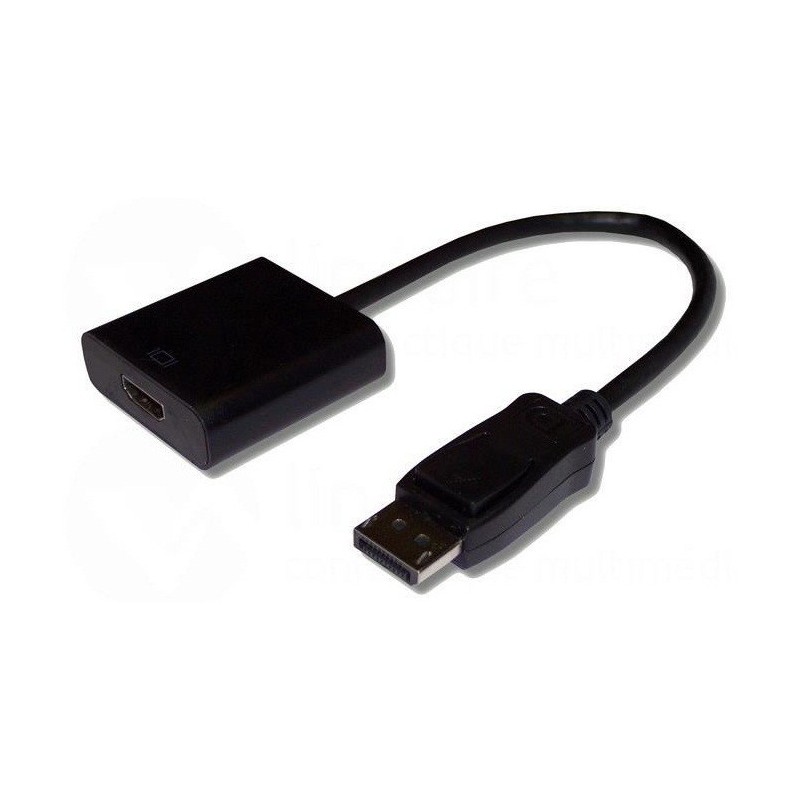 Adaptateur DisplayPort Mâle vers HDMI Femelle Adaptateur DisplayPort Mâle vers HDMI Femelle