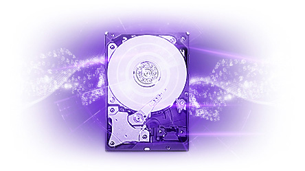 WESTERN DIGITAL Disque dur interne 3.5 1To, Purple (surveillance)