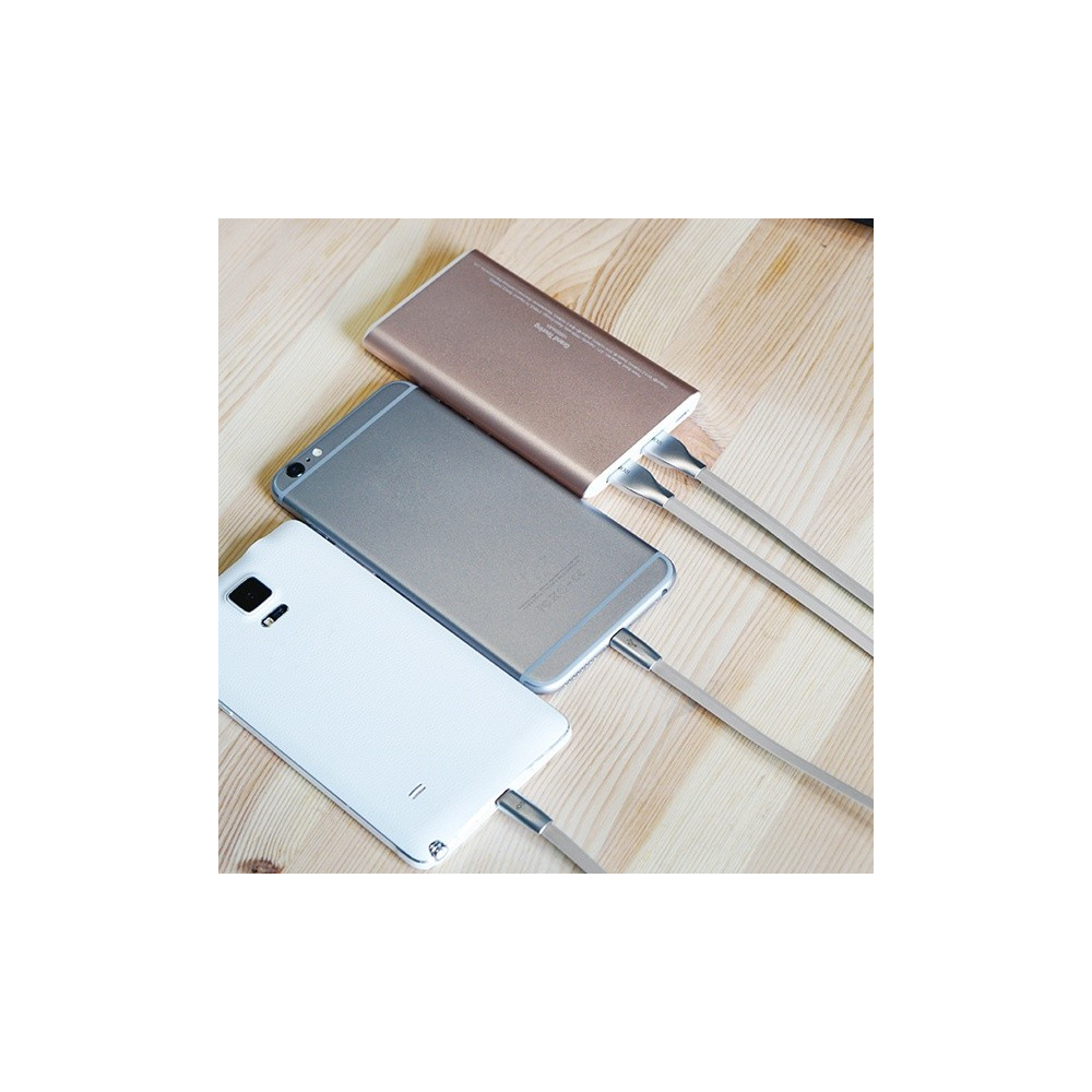 Câble Plat Romoss RoLink 2 en 1 USB vers Micro USB & Lightning