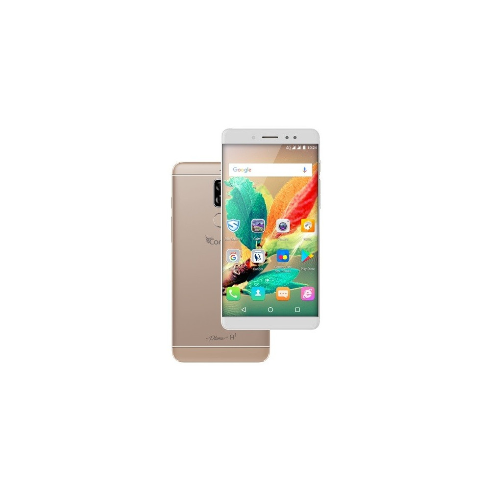 Condor Plume H1 Tunisie couleur Gold - Condor Tunisie prix Tunisianet