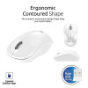 Souris Optique Sans Fil Promate Clix-1 / Blanc