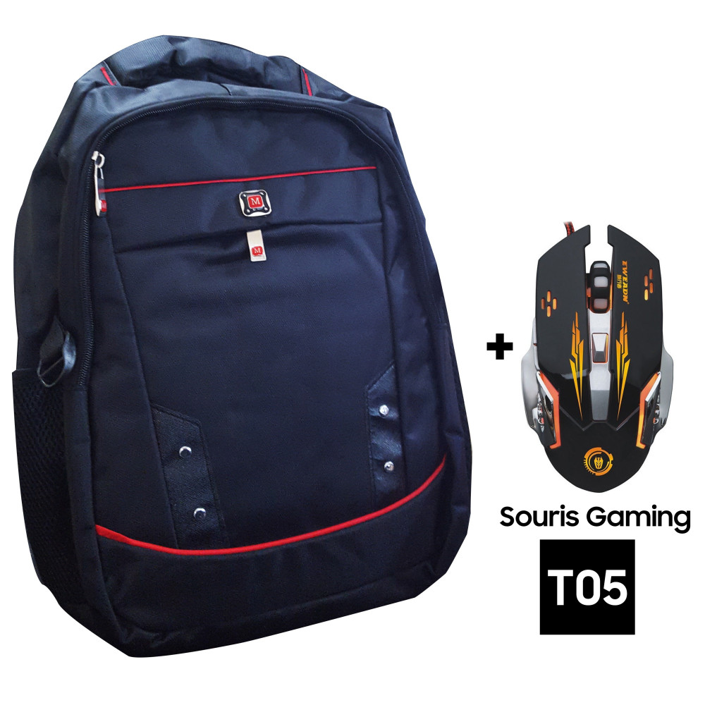 Sac à dos pour PC Portable 15.6"