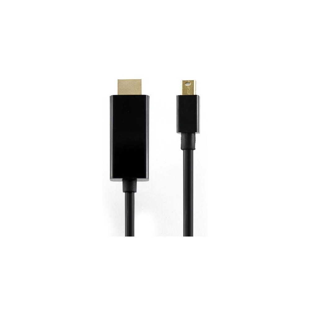 Câble HDMI vers mini Display Port 2M