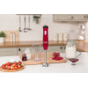 Mixeur plongeant Russell Hobbs Desire / 500W