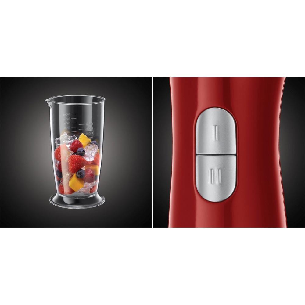 Mixeur plongeant Russell Hobbs Desire / 500W