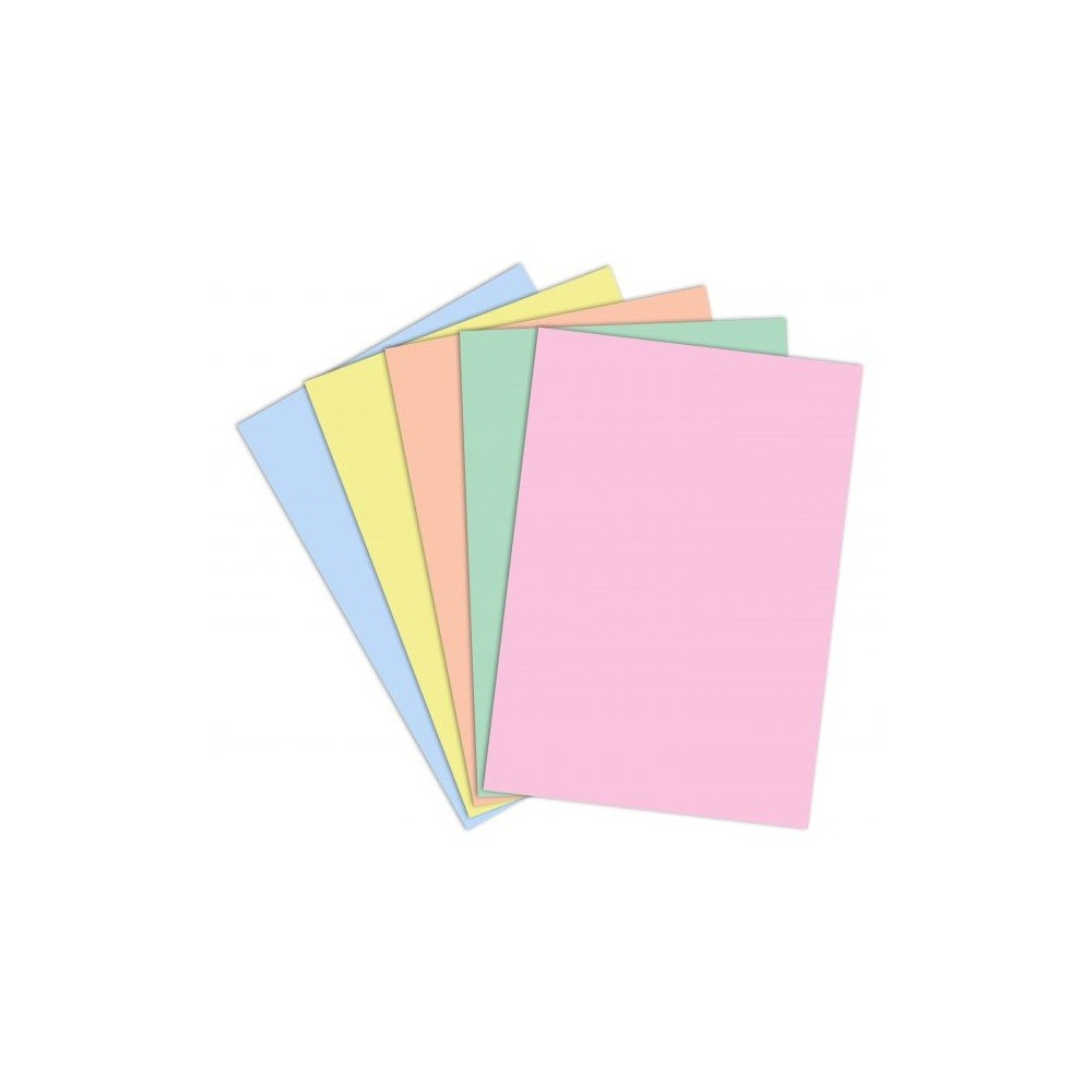 Paquet de 100 chemises COSTO BRISTOL 180g / Couleurs Assorties