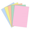 Paquet de 100 chemises COSTO BRISTOL 180g / Couleurs Assorties