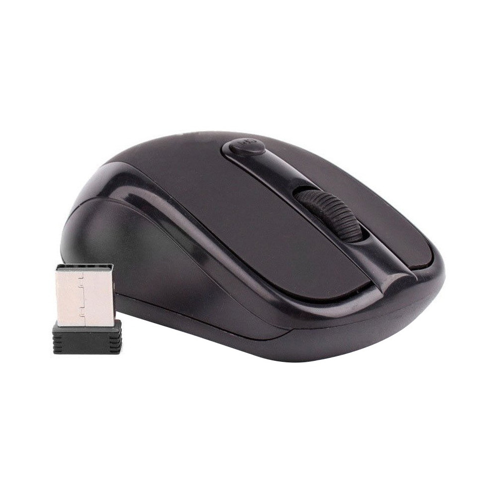 Souris sans fil WS-310 / Noir