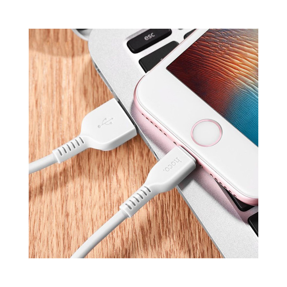 Câble USB Hoco X20 Pour IPHONE Flash 2 M / Blanc