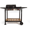 Barbecue à Gaz Gril et Plancha Livoo DOC208