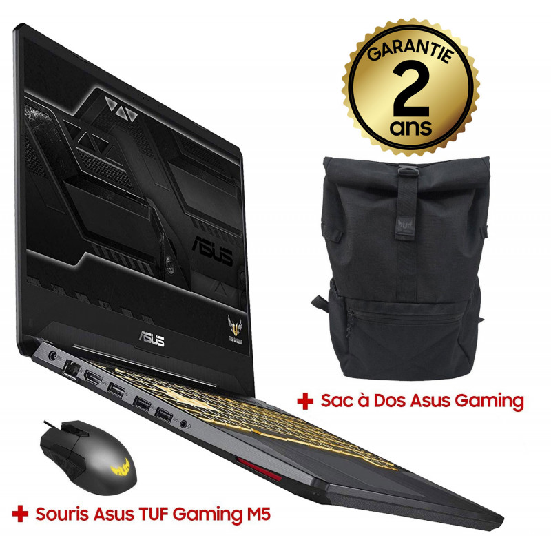 ASUS Ordinateur portable Gaming TUF705DT-AU965T - 17.3 pouces pas cher 