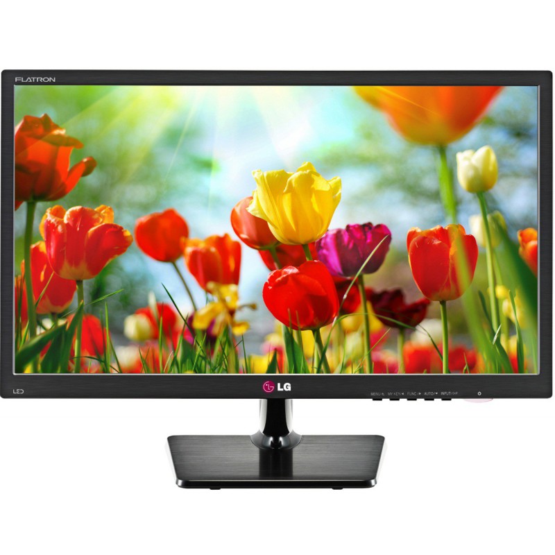 Ecran LG HD LED 19"