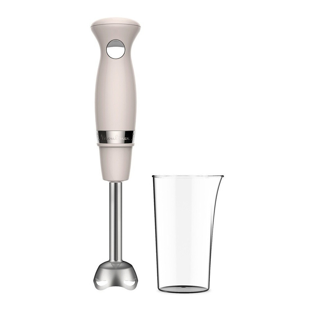 mixeur plongeant moulinex