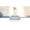 Enceinte et Radio-réveil Anker Soundcore Wakey Bluetooth avec Chargeur Qi sans Fil 10W