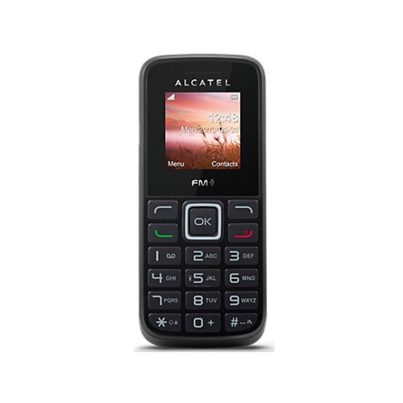 Téléphone Portable Alcatel 1010 Noir / Double Puce
