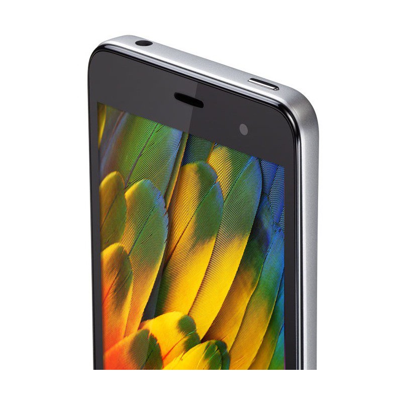 Téléphone Portable Alcatel OT6010D Star / Double SIM / Argent