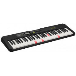 Clavier Electrique Casio...