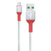 Câble ModemCat USB vers USB Lightning pour iPhone 2.1A