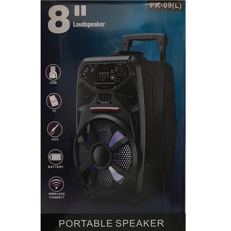 Haut-Parleur Portable Bluetooth avec Micro Intégrée PK-09 / Noir
