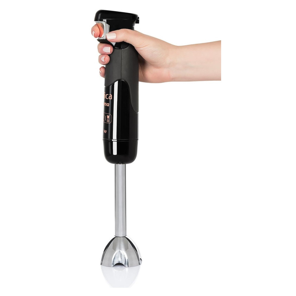 Mixeur Plongeon Arnica GH21580 / 1200W