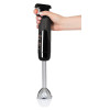 Mixeur Plongeon Arnica GH21580 / 1200W