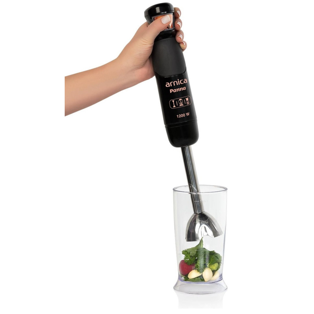 Mixeur Plongeon Arnica GH21580 / 1200W