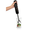 Mixeur Plongeon Arnica GH21580 / 1200W