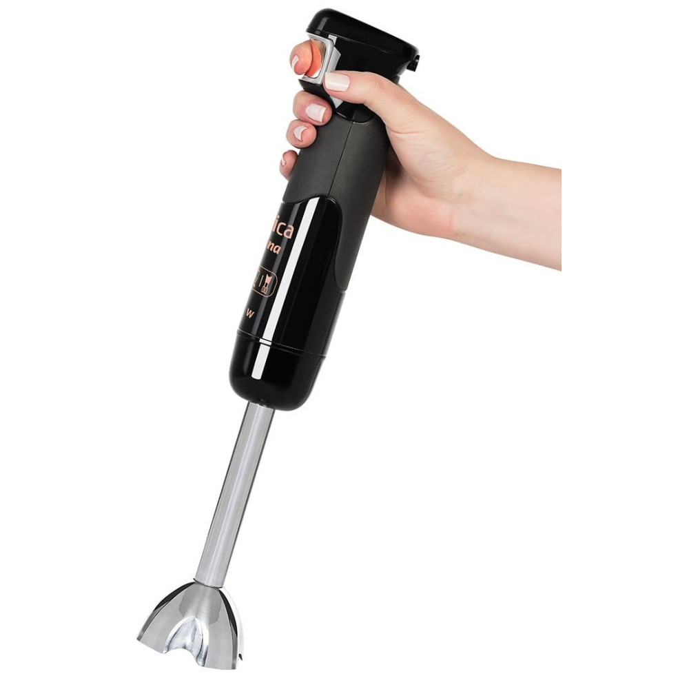 Mixeur Plongeon Arnica GH21580 / 1200W