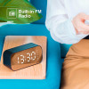 Haut Parleur Havit M3 Radio / Réveil / Micro /TF Carte