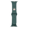 Bracelet Silicone pour Apple Watch 42/44mm / Vert