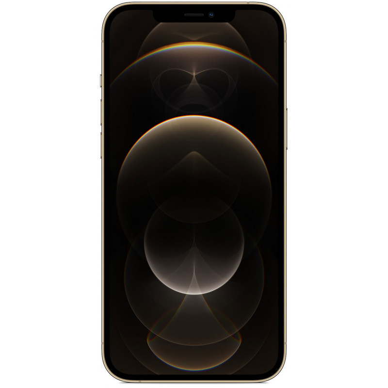 Smartphone Apple IPhone 12 Pro ecran