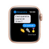 Montre connectée Apple Watch Series 6 40MM / Gold