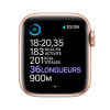 Montre connectée Apple Watch Series 6 40MM / Gold