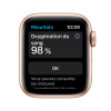 Montre connectée Apple Watch Series 6 40MM / Gold