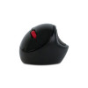 Souris Sans Fil NGS EVO ERGO / Noir