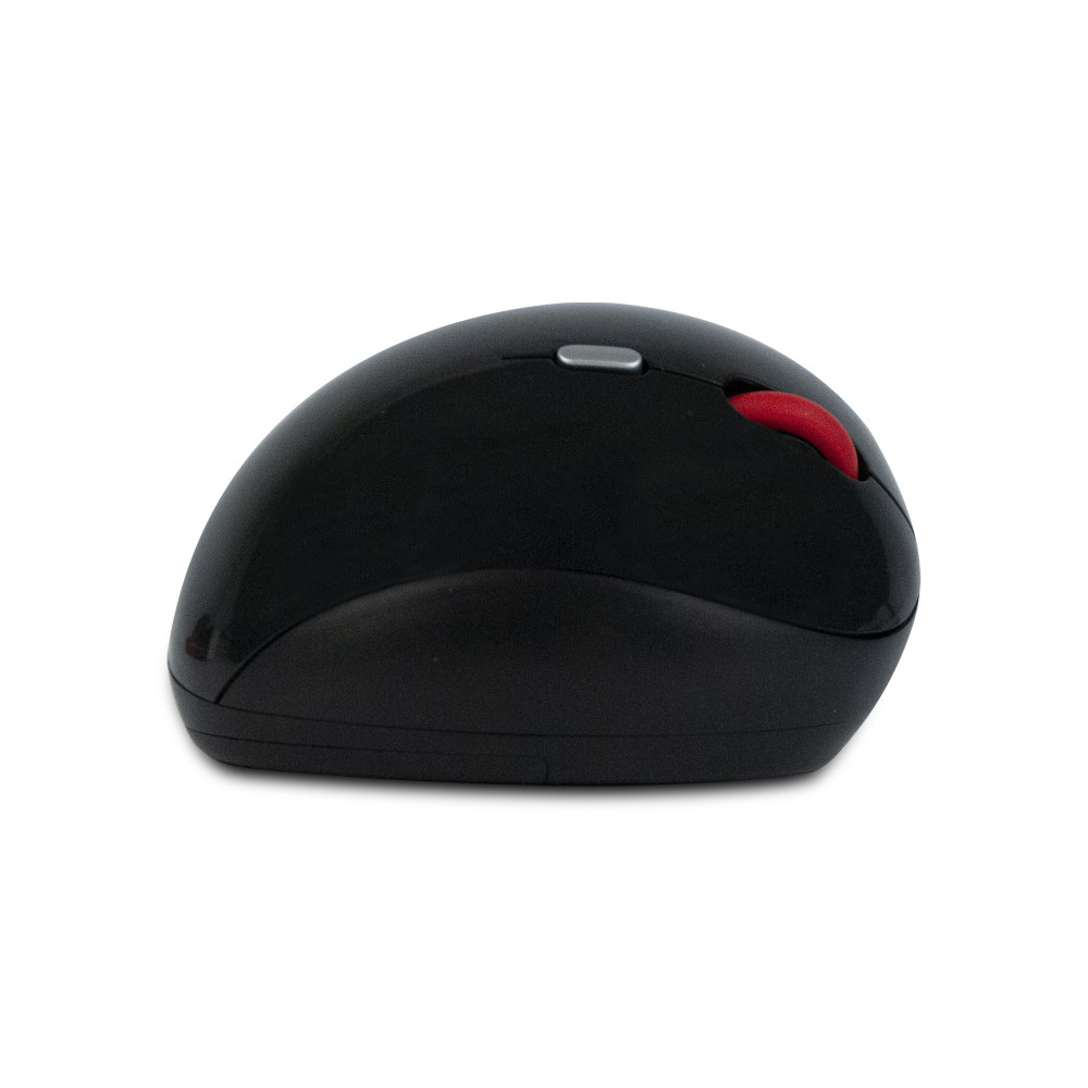 Souris Sans Fil NGS EVO ERGO / Noir