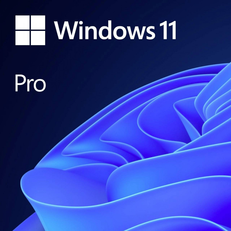 Microsoft Windows 11 Professionnel 64 bits (français) - OEM