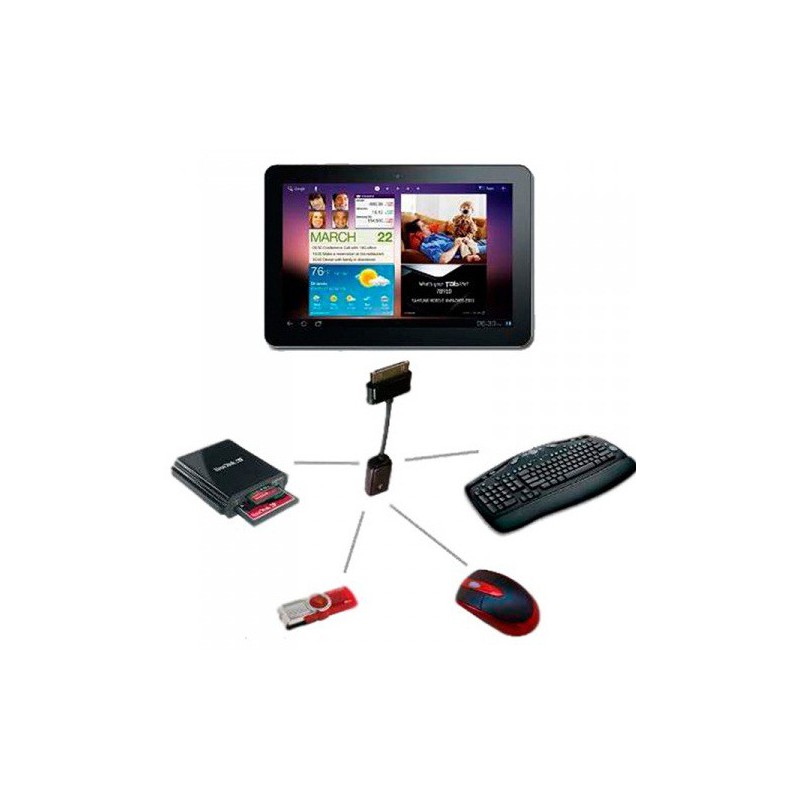 Adaptateur USB Femelle à 30 Broches pour Tablette Samsung