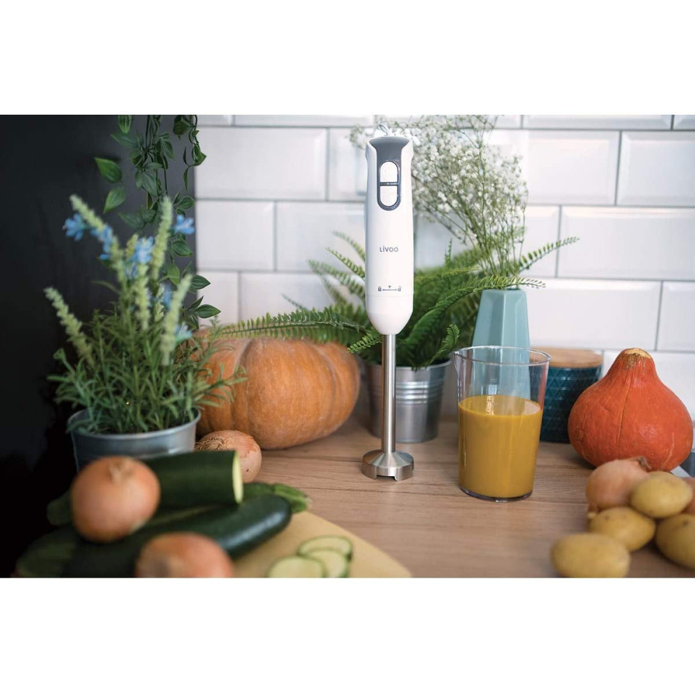 Mixeur Plongeon Livoo DOP204 / 400W / Blanc