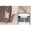 Xiaomi Mi Window and Door Sensor 2