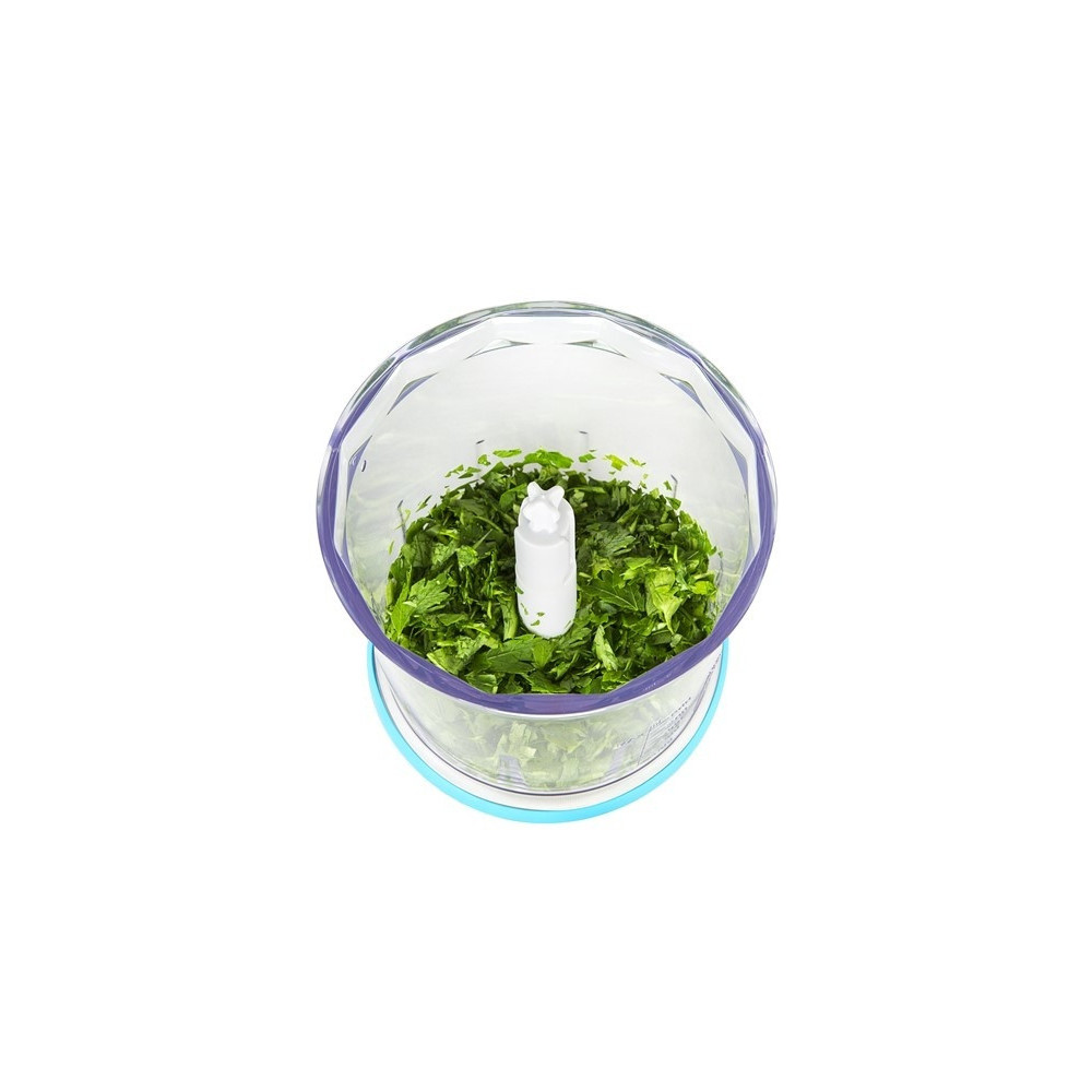 Mini Hachoir Arnica Rapid Plus GH21132 / 500W