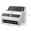 Scanner professionnel Epson WorkForce DS-870N / A4