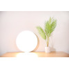 Plafonnier Xiaomi Mi Smart LED Ceiling Light