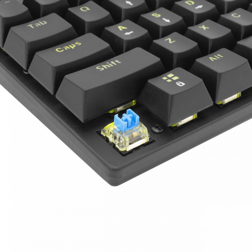 Clavier Gaming mécanique White Shark COMMANDOS ELITE GK-2107/ RGB / Noir / BLUE SWITCHES