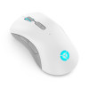 Souris Sans Fil Bluetooth Gaming Lenovo Legion M600 / 16000 dpi / Gris