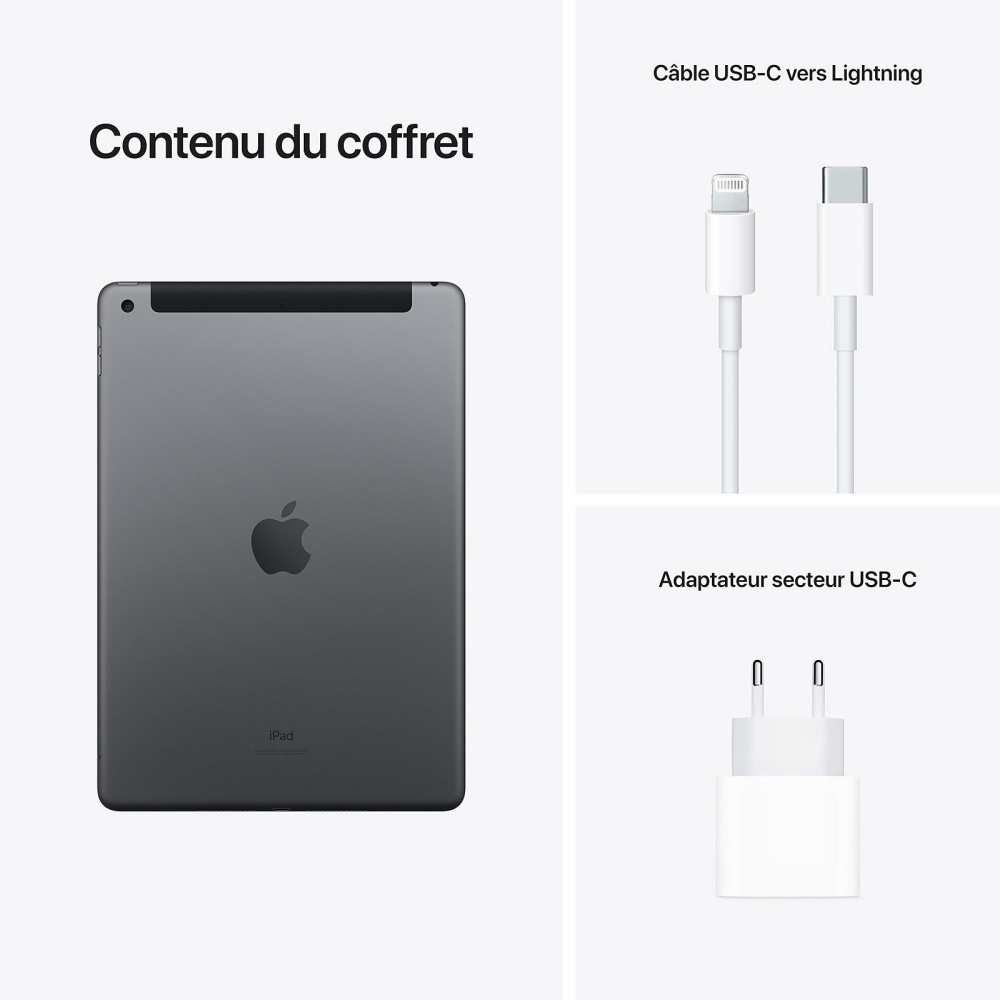 iPad Apple 2021 Wifi + Cellular 256 Go / Gris Sidéral