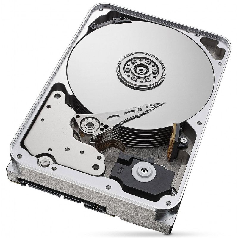 Disque Dur Interne 3.5 Seagate SkyHawk Surveillance / 10 To