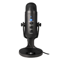 Microphone...