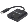 Convertisseur USB Type-C Vers DisplayPort