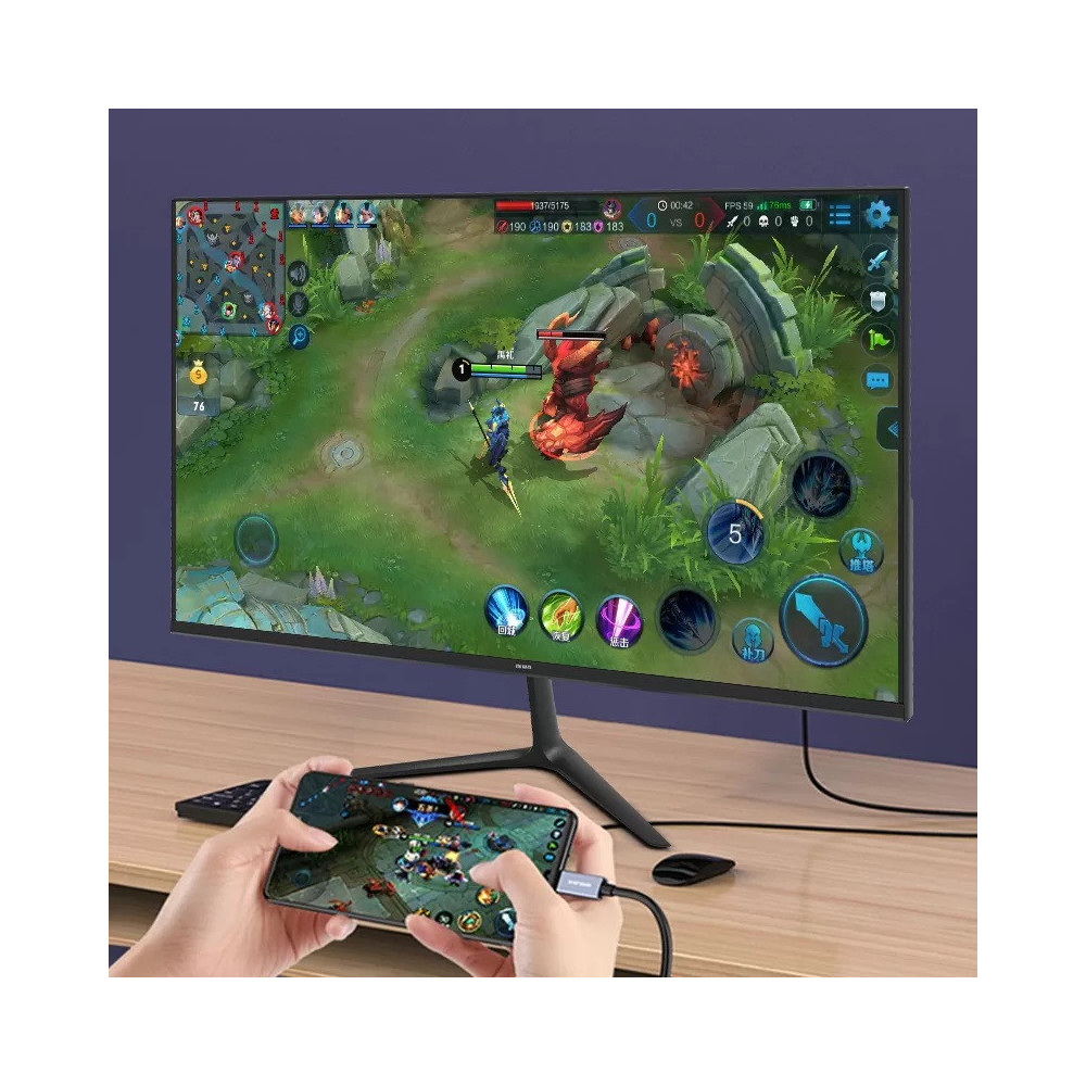 Ecran Aiwa 24" Full HD IPS / 100 Hz